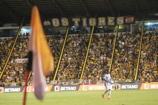 fotos:-criciuma-registra-2o-maior-publico-do-ano;-sao-8-jogos-acima-de-10-mil-presentes