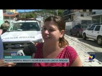 policia-ambiental-resgata-jacare-de-bueiro-na-trindade-em-florianopolis