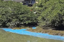 rio-aparece-com-coloracao-azul-em-joinville-e-prefeitura-se-manifesta