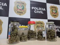 homem-e-preso-com-estufa-de-maconha-durante-operacao-contra-organizacao-criminosa-em-sc