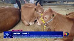 agro-vale:-evento-comeca-hoje-e-faz-parte-das-comemoracoes-do-aniversario-da-cidade