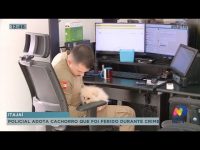 policial-adota-cachorro-que-foi-ferido-durante-crime