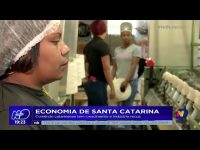 economia-de-santa-catarina:-comercio-catarinense-tem-crescimento-e-industria-recua