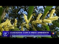 cuidados-com-o-meio-ambiente:-sc-possui-156-especies-de-animais-e-plantas-consideradas-invasoras