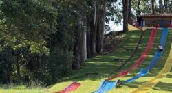 mulher-morre-e-filho-fica-ferido-apos-acidente-em-toboga-de-parque-em-sao-paulo