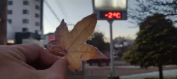 frio-congelante:-massa-de-ar-seco-deve-trazer-geada-e-temperaturas-negativas-a-sc