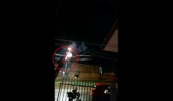 homem-comemora-assassinato-com-tiros-e-foguetes-em-toledo-(pr);-video