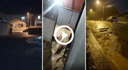 video-e-fotos:-blumenau-registra-mais-de-40-ocorrencias-apos-temporal-da-noite-passada