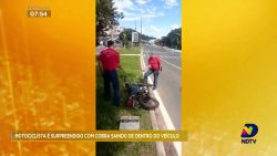 motociclista-e-surpreendido-com-uma-cobra-em-um-dos-bairros-residenciais-de-florianopolis