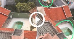 video:-piscina-vira-criadouro-gigante-do-mosquito-da-dengue-em-itajai