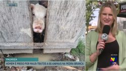 homem-e-preso-por-maus-tratos-a-65-animais-em-palhoca,-na-grande-florianopolis