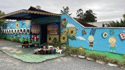 autor-de-ataque-a-creche-em-blumenau-agiu-sozinho,-afirma-policia-civil