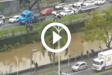 video:-confira-momento-em-que-carro-que-caiu-em-rio-de-joinville-e-retirado