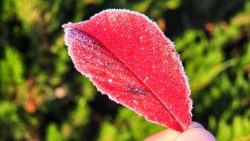 ciclone-e-massa-de-ar-frio-provocam-queda-nas-temperaturas-e-fortes-rajadas-de-vento-em-sc