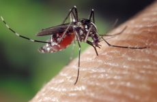 oeste-em-vermelho:-regiao-tem-duas-mortes-por-dengue-e-7-municipios-em-estado-de-epidemia