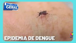 7-municipios-atingiram-o-nivel-de-epidemia-de-dengue-no-oeste-catarinense