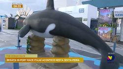 ‘regata-in-port-race’-acontece-nesta-sexta-feira-e-no-fim-de-semana-em-itajai