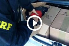 video:-duas-mulheres-sao-presas-com-mais-de-90-kg-de-maconha-na-br-101,-em-joinville