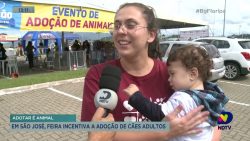 feira-incentiva-a-adocao-de-caes-adultos-em-sao-jose