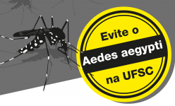 ufsc-ja-fez-125-vistorias-para-combater-focos-do-mosquito-transmissor-da-dengue