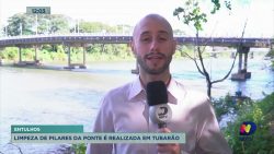 pontes-de-tubarao-passam-por-limpeza