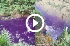 video:-rio-fica-roxo-e-moradores-denunciam-poluicao-em-joinville