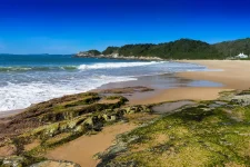 projeto-de-lei-quer-acabar-com-naturismo-na-praia-do-pinho-em-balneario-camboriu