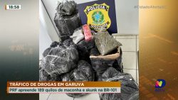 trafico-de-drogas-em-garuva:-prf-apreende-189-quilos-de-maconha-e-skunk-na-br-101