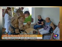 canil-da-policia-militar-visita-hospital.-tres-caes-participaram-da-acao-de-cinoterapia