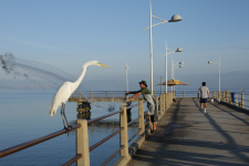 confira-a-programacao-cultural-durante-o-feriado-de-dia-do-trabalhador-em-florianopolis