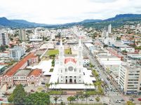 prefeito-de-rio-do-sul-lamenta-‘chacina’-de-arvores-na-cidade;-entenda