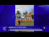 sebrae-startups:-plataforma-estimula-o-empreendedorismo-inovador-em-todo-o-brasil