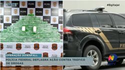 policia-federal-deflagra-acao-contra-trafico-de-drogas-aqui-na-regiao-na-operacao-dowfall