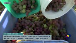 melhoria-em-infraestrutura-de-rodovias-pode-incentivar-turismo-para-proxima-vindima