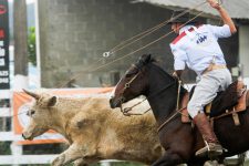 rodeio-de-sao-jose-dobra-expectativa-de-publico-e-fecha-edicao-com-50-mil-pessoas