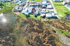 imagens-mostram-destruicao-um-mes-apos-incendio-na-maior-unidade-de-conservacao-de-sc;-fotos