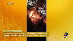 sao-investigados-danos-ambientais-do-incendio-que-atingiu-o-parque-da-serra-do-tabuleiro,-em-palhoca