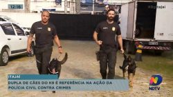 dupla-de-caes-do-k9-e-referencia-na-acao-da-policia-civil-contra-crimes