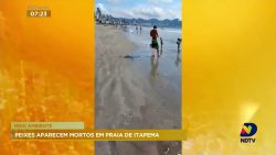 peixes-aparecem-mortos-em-praia-de-itapema