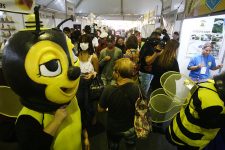 ufsc-participa-da-feira-do-mel-de-quarta-a-sabado-no-largo-da-alfandega,-em-florianopolis