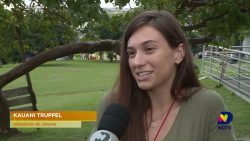 longa-metragem-‘edificio-bonfim’-e-gravado-em-florianopolis