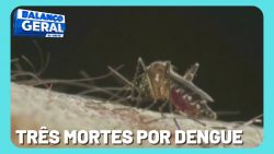 tres-mortes-sao-confirmadas-na-ultima-semana-em-santa-catarina-causadas-pela-dengue