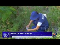 alerta-nacional:-fiocruz-alerta-para-ressurgimento-do-sorotipo-tres-da-dengue