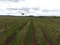 maca-tech:-drones-e-tablets-no-cultivo