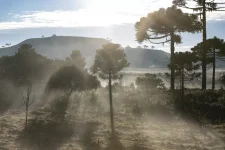 amanhecer-de-domingo-registra-temperaturas-negativas-e-geada-em-sc