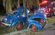 fusca-quase-parte-ao-meio-apos-se-chocar-gravemente-contra-arvore-em-sc;-fotos