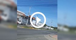 video:-idoso-e-agredido-por-comerciante-em-sc-apos-colher-flores-em-canteiro-de-avenida