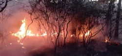 incendio-atinge-vegetacao-em-campo-alegre-e-mobiliza-bombeiros