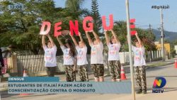 estudantes-de-itajai-fazem-acao-de-conscientizacao-contra-mosquito-da-dengue