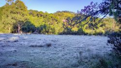 serra-catarinense-registra-pelo-4o-dia-seguido-a-menor-temperatura-do-ano-no-estado